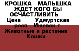 КРОШКА - МАЛЫШКА ЖДЕТ КОГО БЫ ОСЧАСТЛИВИТЬ.  › Цена ­ 1 - Удмуртская респ., Ижевск г. Животные и растения » Кошки   